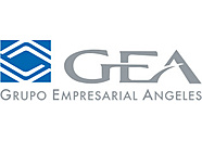 Grupo Empresarial ngeles (GEA)